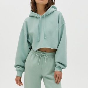 Aritzia TNA COZYAF Boyfriend Cropped Hoodie